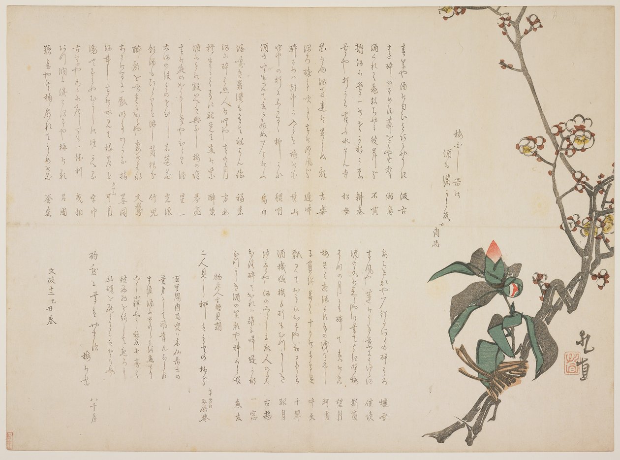 Szilva és kamélia ágak, 1829 (színes fametszet) alkotó: Nagayama Kchoku