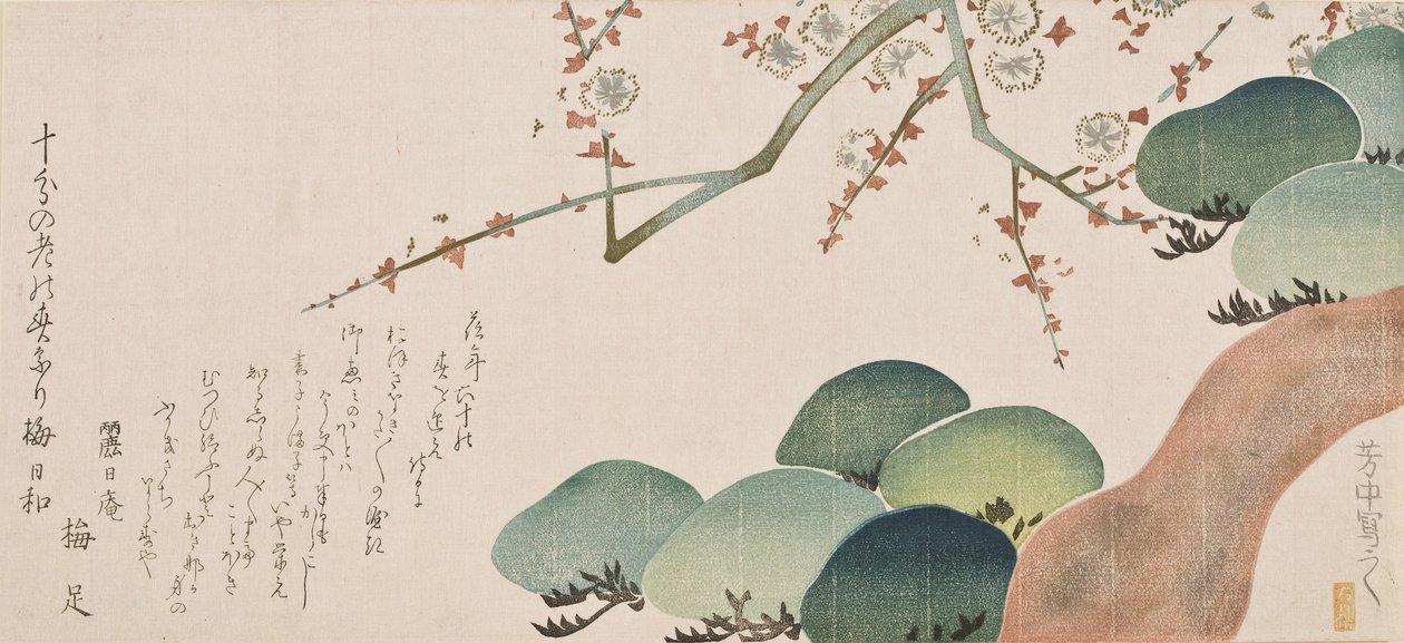 Fenyőfa és szilvavirág, 1810-30 (színes fanyomat) alkotó: Nakamura Hochu