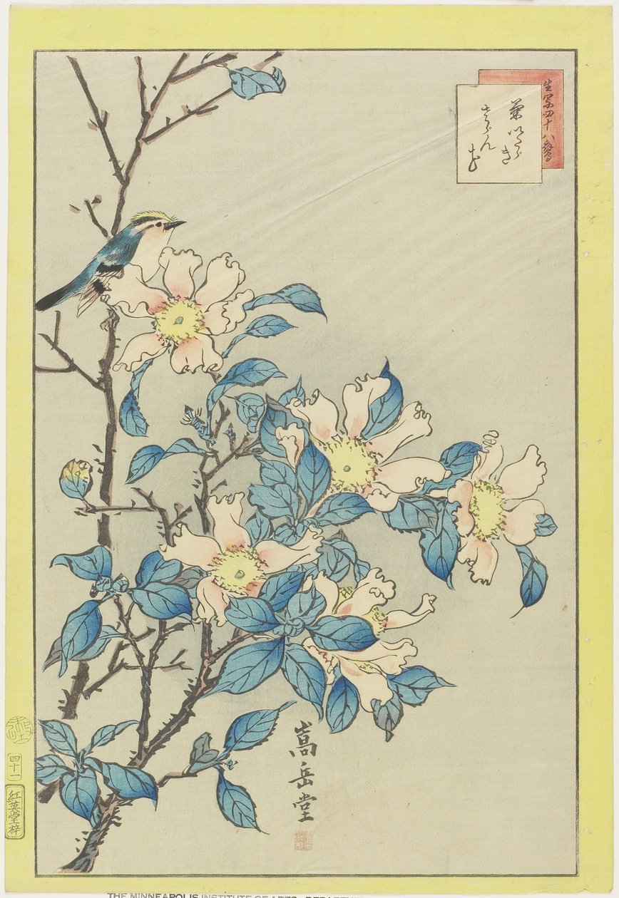 Kék madár és rózsaszín virágok, 1859 (színes fatömb nyomat) alkotó: Nakayama Sugakudo