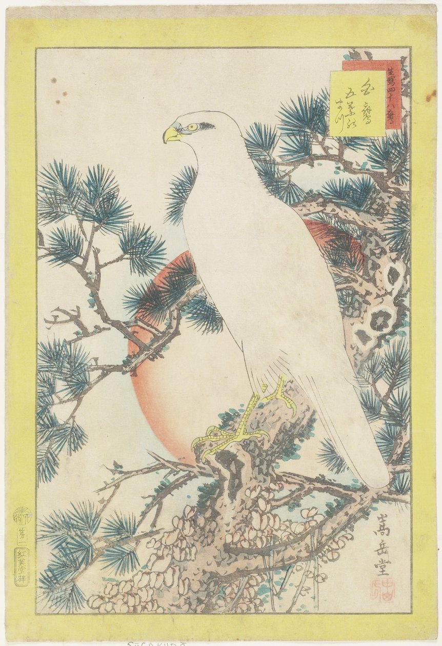 1. sz., Fehér sólyom és öttűű fenyő, 1859 (színes fatömbnyomat) alkotó: Nakayama Sugakudo