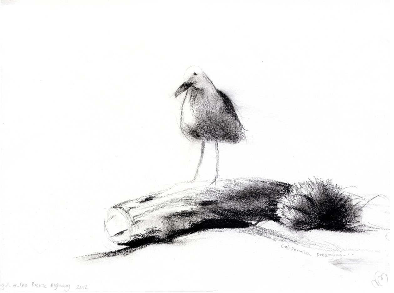 Kaliforniai sirály, 2012, (faszén papíron) alkotó: Nancy Moniz Charalambous