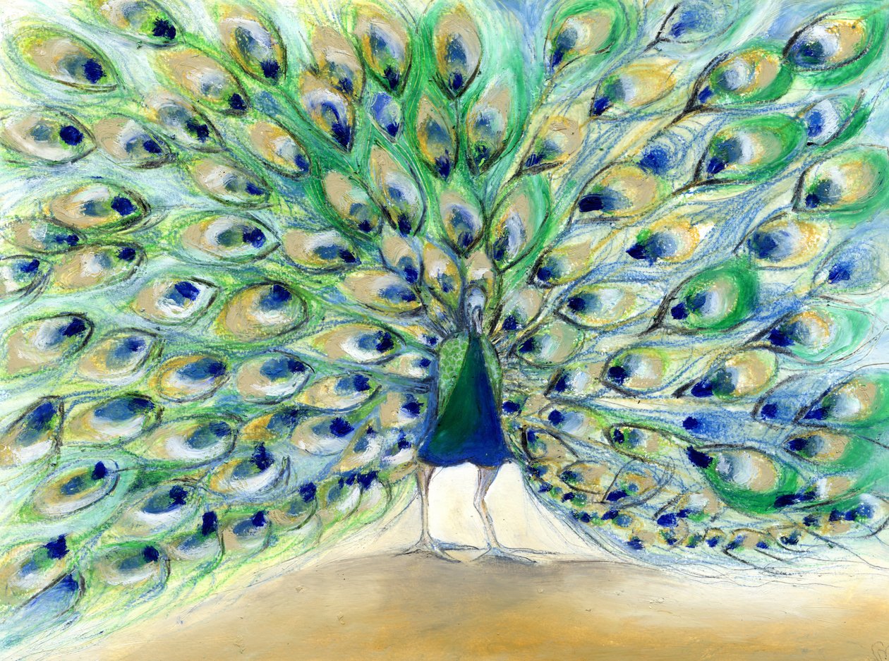 Peacock in San Diego 2, 2013, (olaj a kártyán) alkotó: Nancy Moniz Charalambous