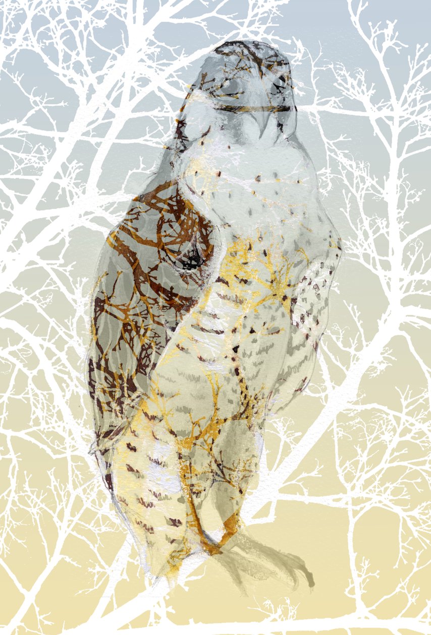 Vándorsólyom, 2015 (tinta és gouache a kártyán) alkotó: Nancy Moniz Charalambous