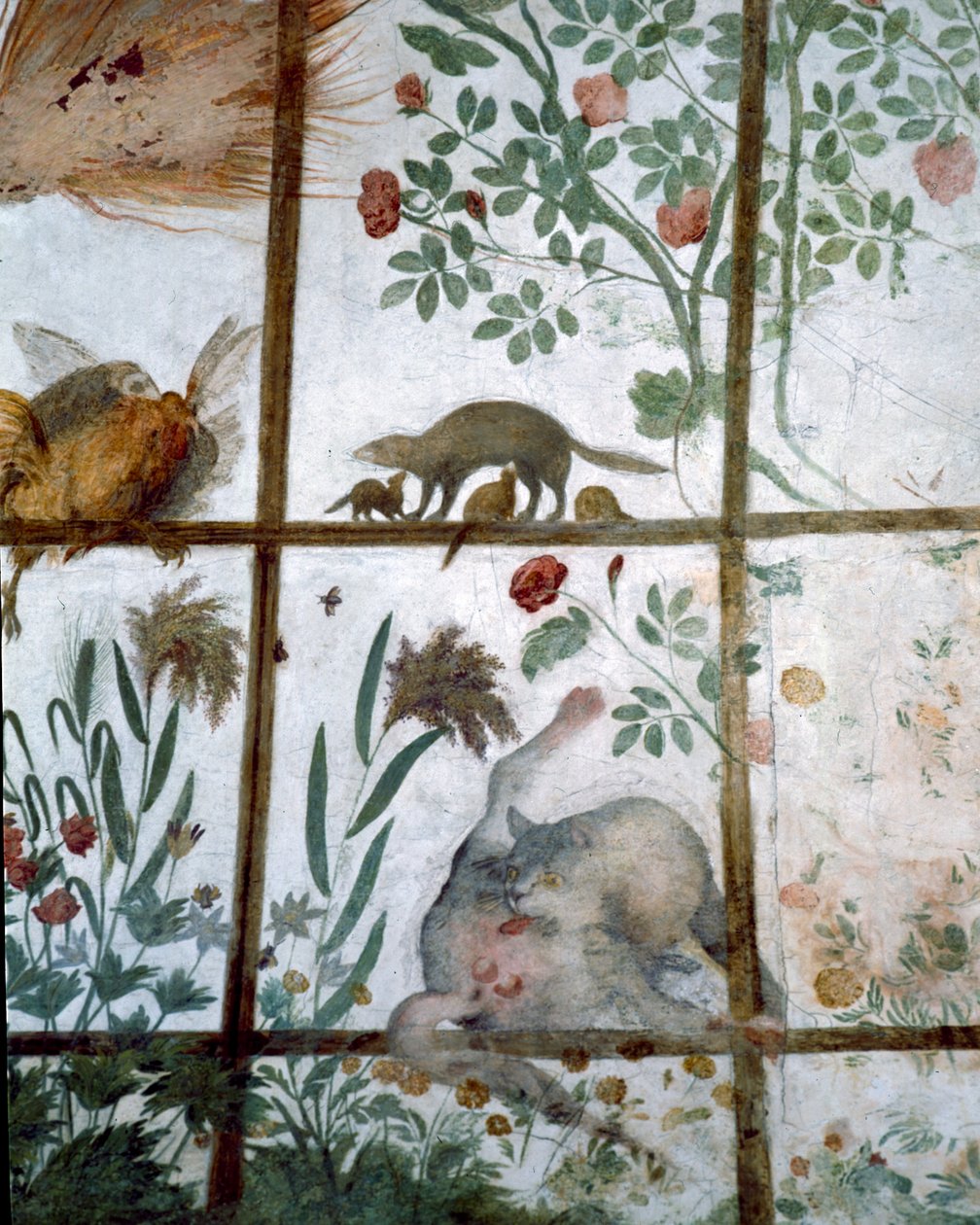 A Studiolo-tanulmány előszobája Francesco deMedici 1541-87-es részlete, állatokat ábrázoló dekoráció egy kerti lugasban, 1564-75 freskó alkotó: Bartolomeo Ammannati
