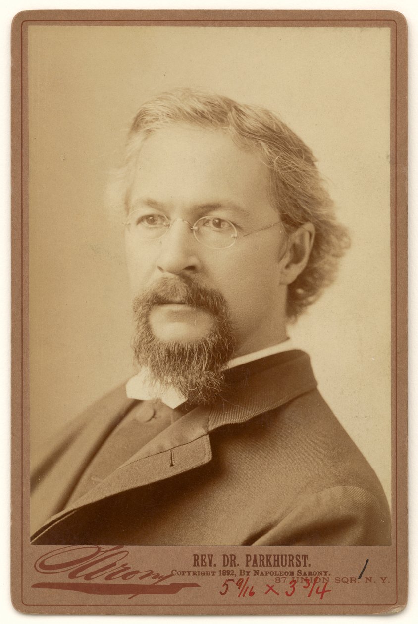 Charles Henry Parkhurst alkotó: Napoleon Sarony