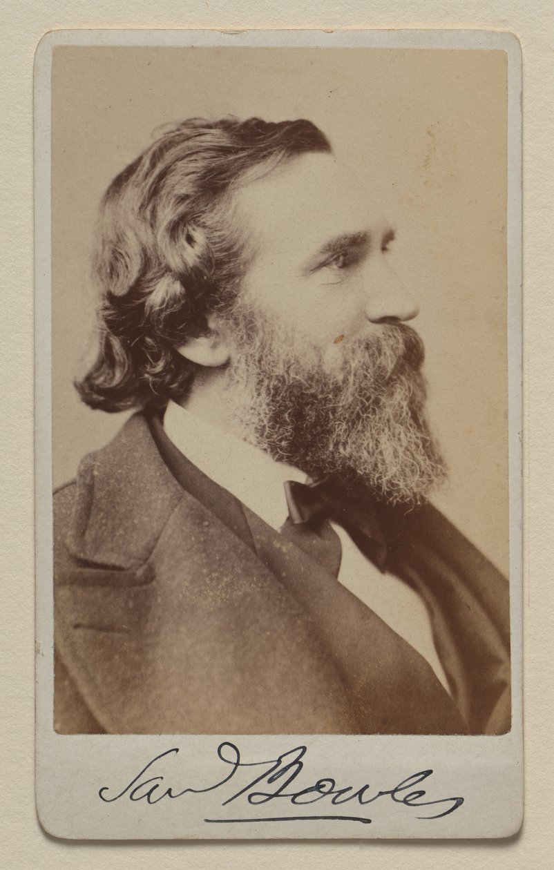 Samuel Bowles II alkotó: Napoleon Sarony