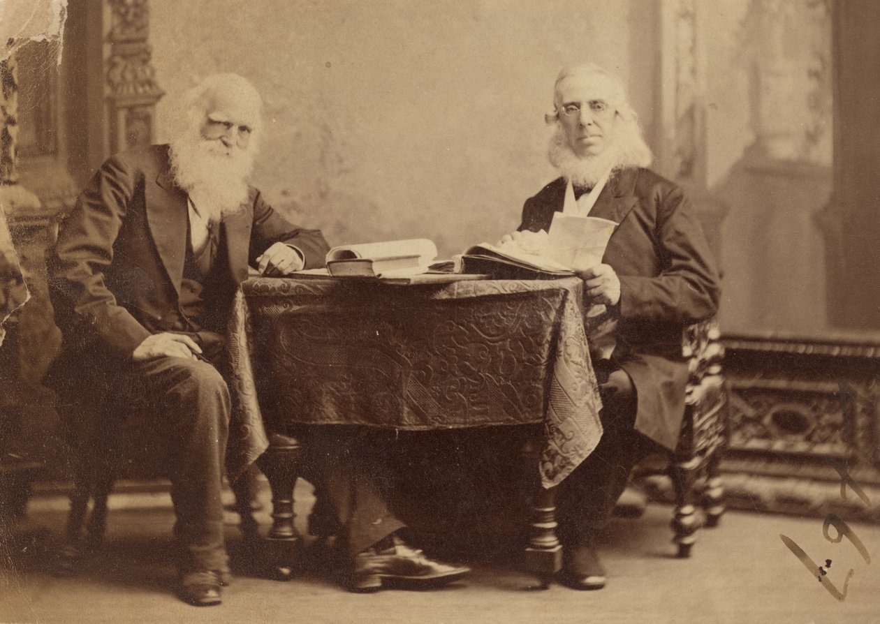 William Cullen Bryant és Peter Cooper alkotó: Napoleon Sarony