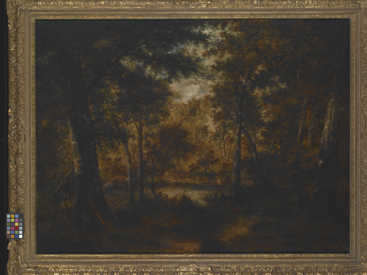 The Fairy Pool (olaj, vászon) alkotó: Narcisse Virgile Diaz de la Peña