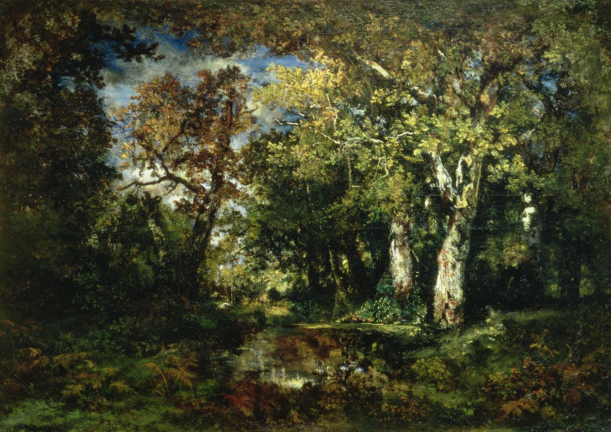 A fontainebleau-i erdő alkotó: Narcisse Virgile Diaz de la Peña