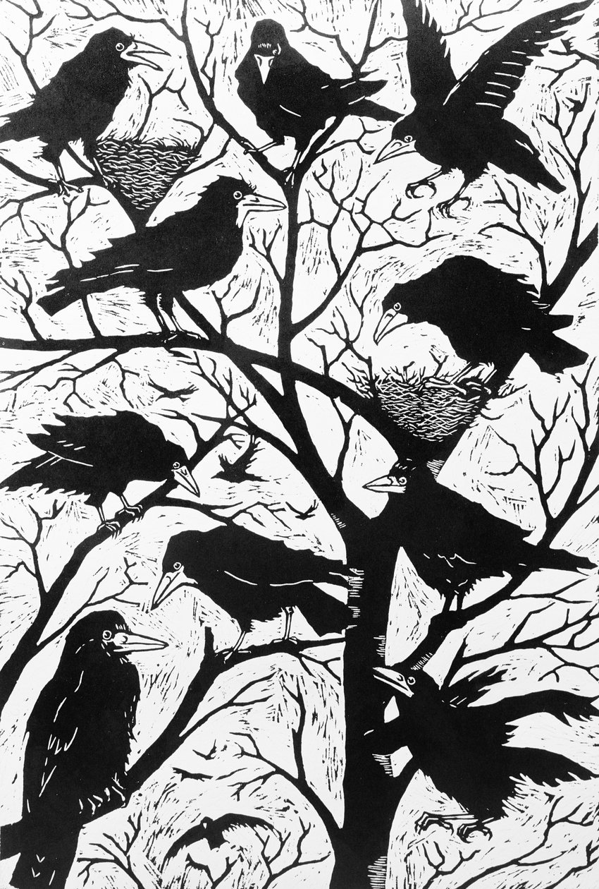 Rooks, 1998 alkotó: Nat Morley