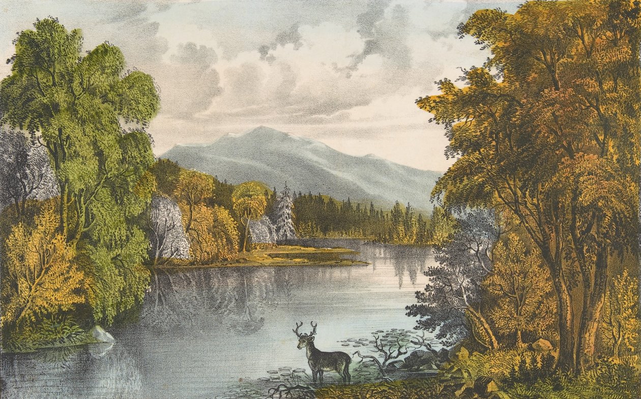 Moosehead Lake, Maine, 1857-72., 1857-72. Alkotók: Nathaniel Currier, James Merritt Ives, Currier és Ives. alkotó: Currier and Ives