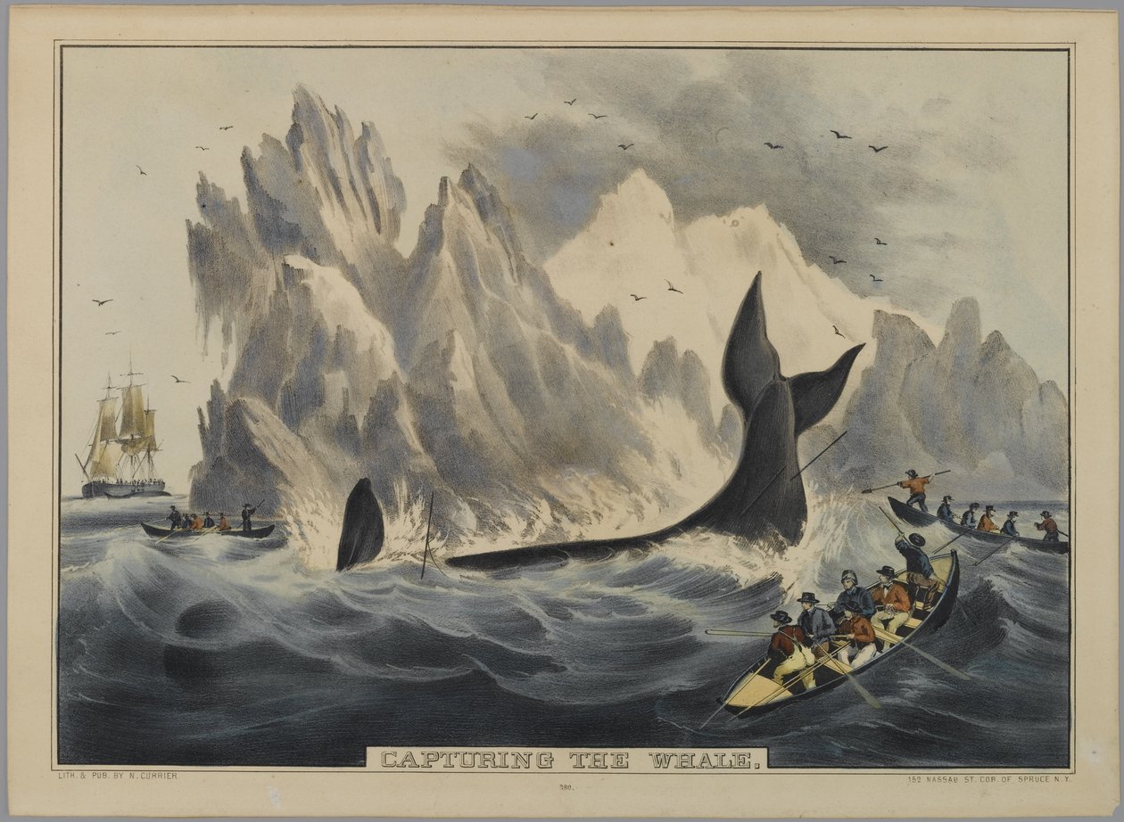 A bálna elfogása (kézzel színezett litho) alkotó: Nathaniel Currier
