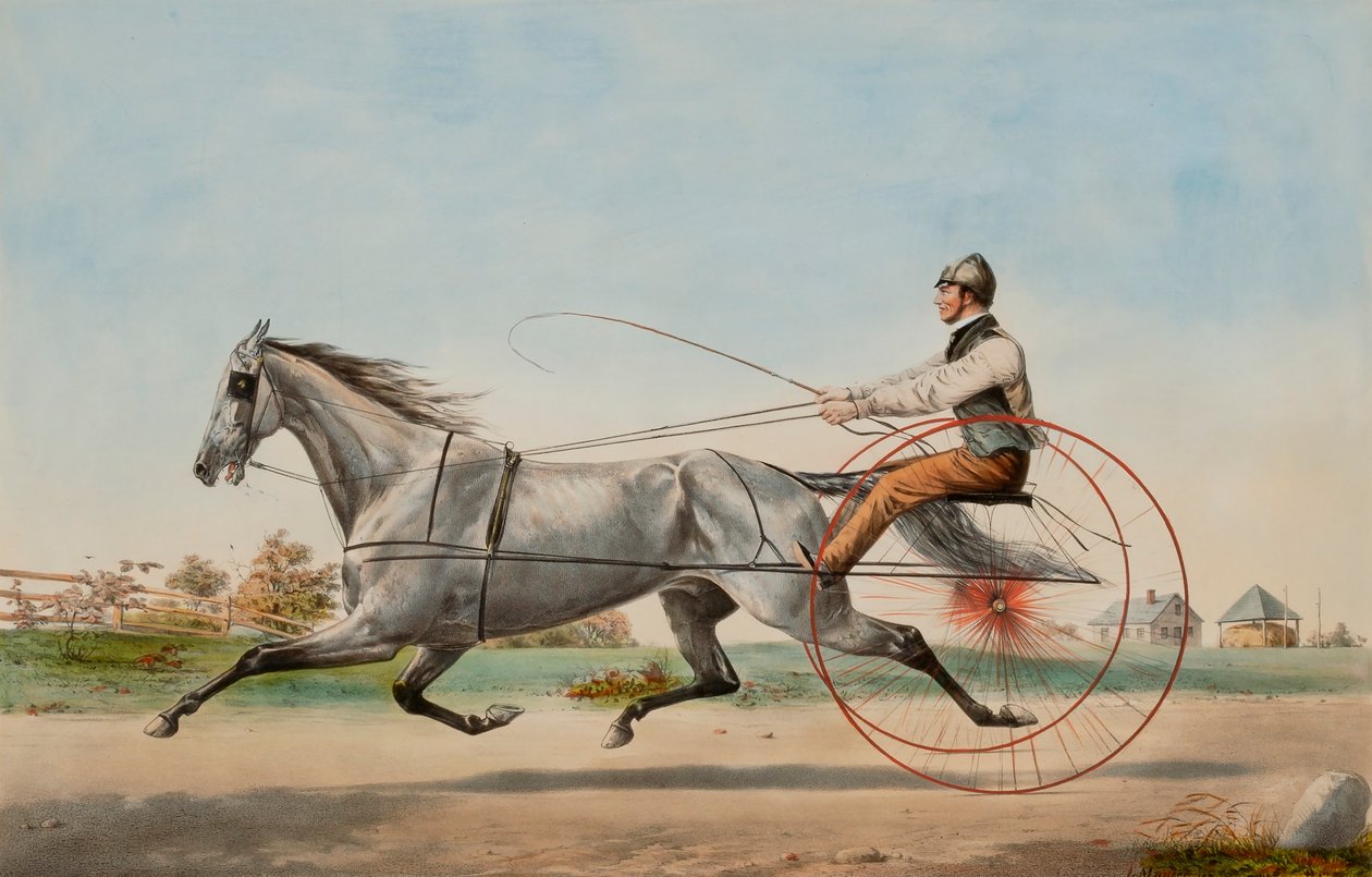 Szürke Eddy alkotó: Nathaniel Currier