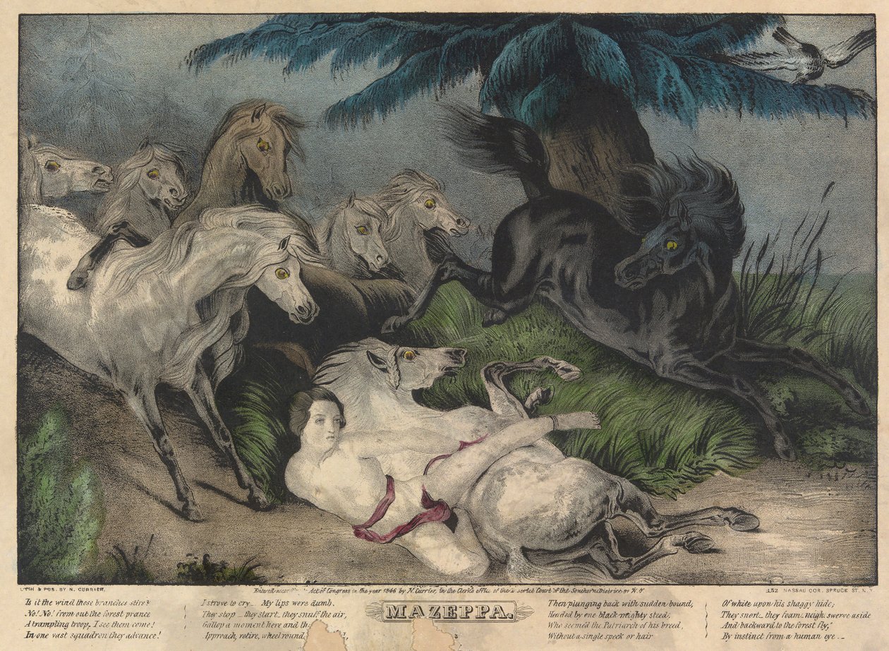 Mazeppa, 3. tábla (vadlovakkal körülvéve) alkotó: Nathaniel Currier