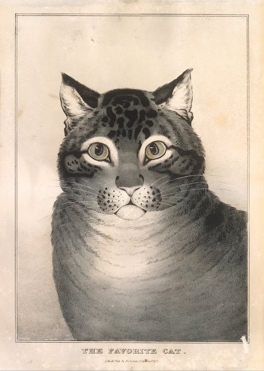 A kedvenc macska, 1838-46., 1838-46. alkotó: Nathaniel Currier