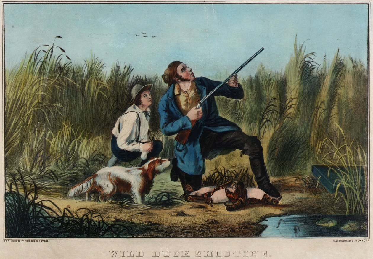 Vadkacsa lövészet alkotó: Nathaniel Currier