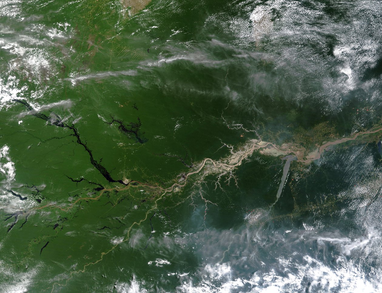 Valódi színű műholdkép az Amazonas folyóról, amelyen a Föld óceánjaiba belépő folyóvíz egyötöde folyik le. Köszönetnyilvánítás: NASA. Dél-Amerika Tudományos Földrajz alkotó: National Aeronautics and Space Administration National Aeronautics and Space Administration