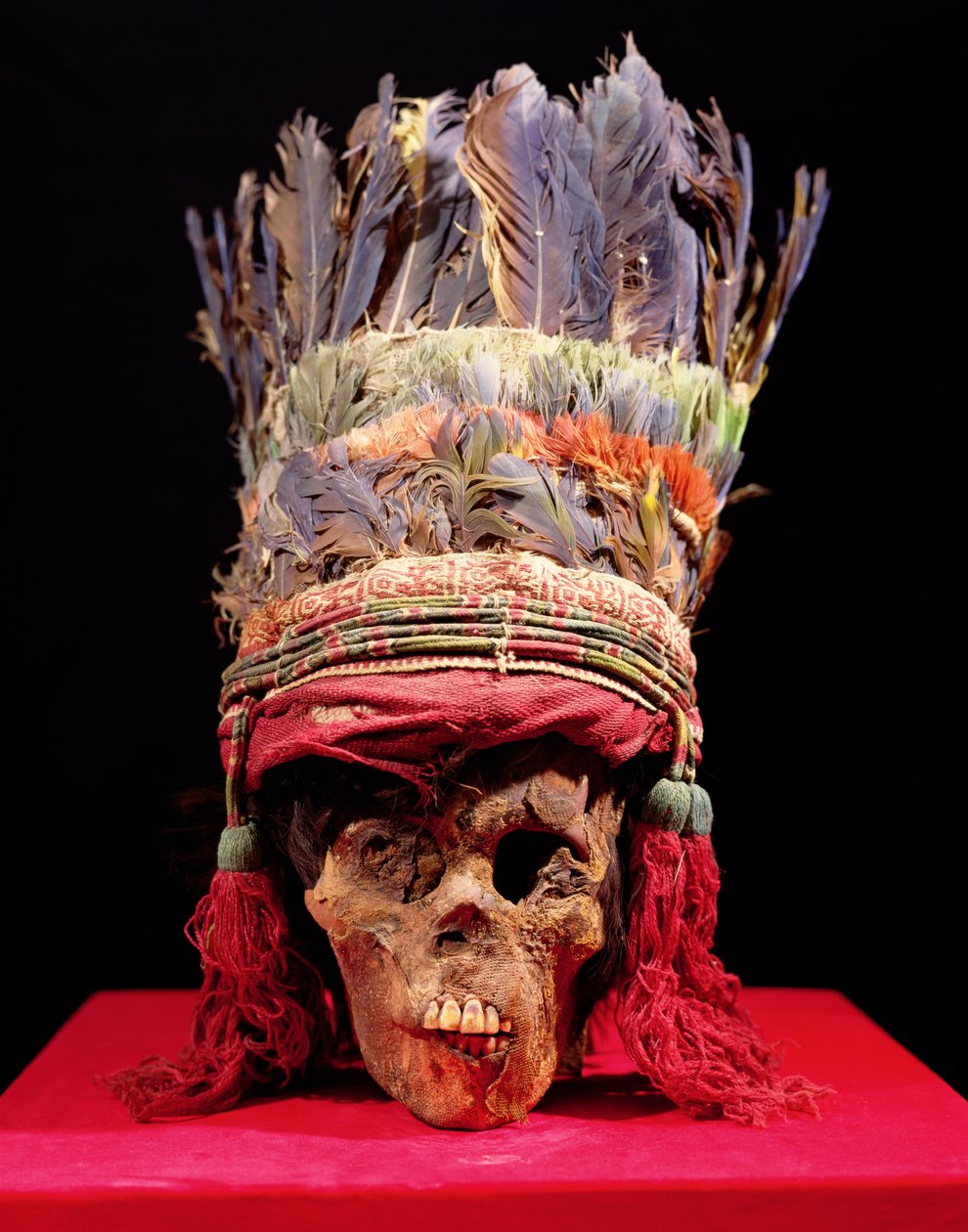 Tollas fejdísz a koponyán, Peruból (toll) alkotó: Nazca Culture