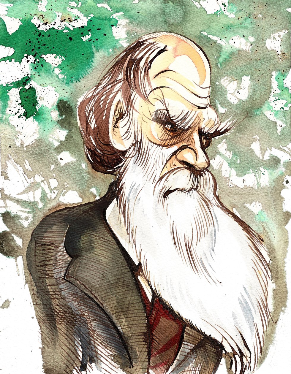 Charles Darwin (angol természettudós és író, 1809-82) színes karikatúra alkotó: Neale Osborne