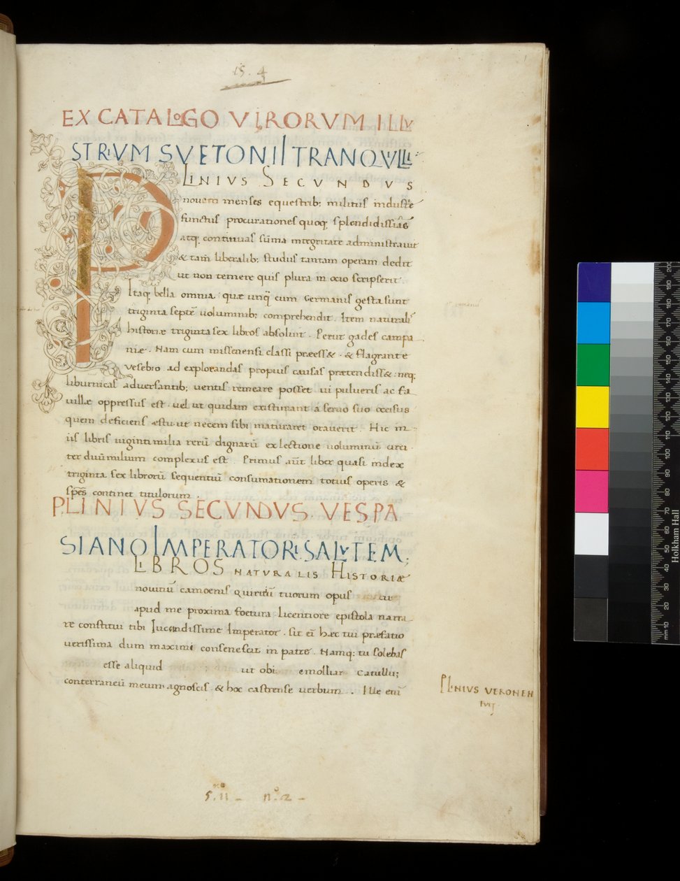 Ms 394,1. Idősebb Plinius, Historia naturalis, f.1r. Világító iniciálé [P] fehér szőlőszár díszítéssel (befejezetlen), Nápoly, 15. század közepe, 1442 körül (pergamen) alkotó: Neapolitan School