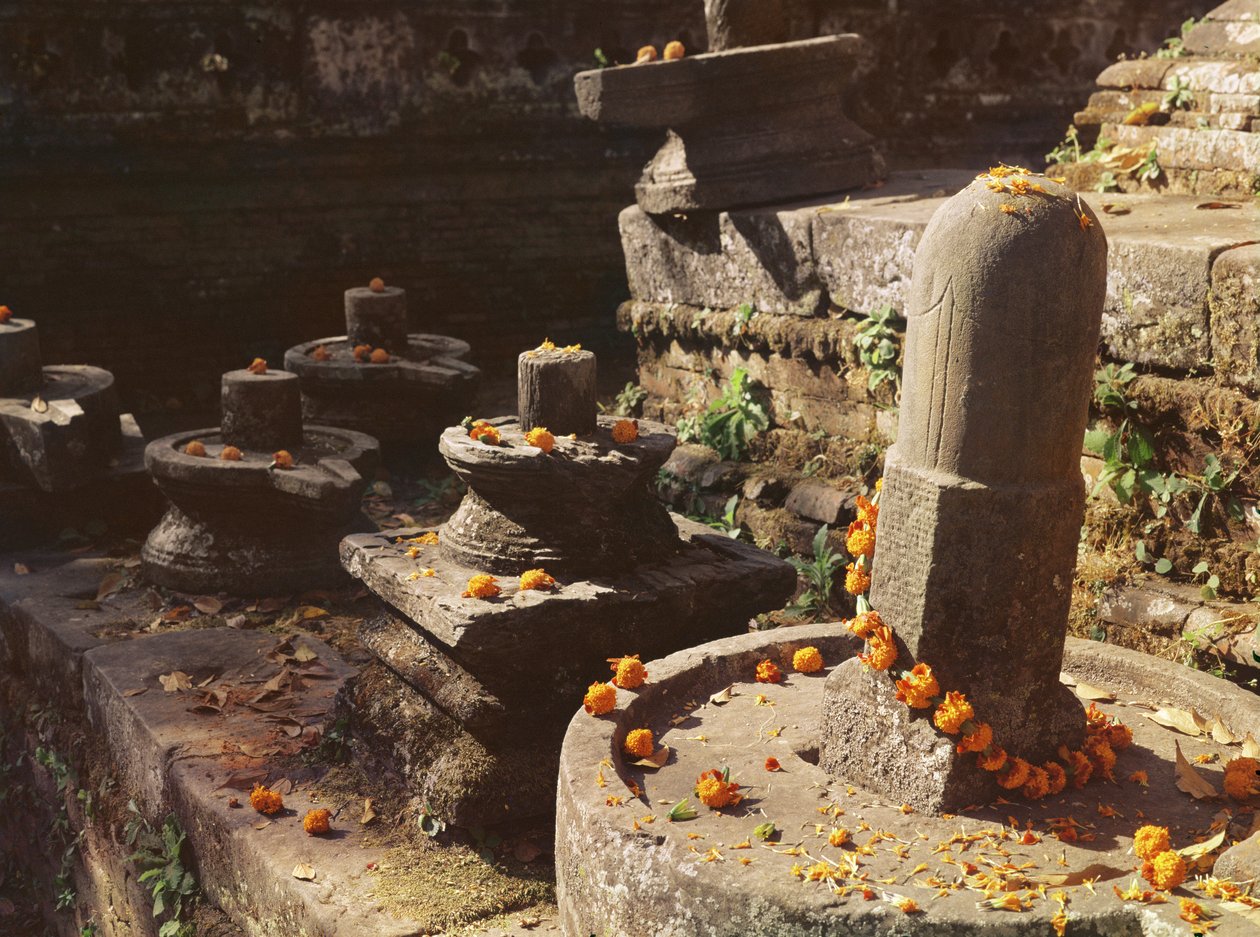 Shiva lingamok a Pashupatinath templomban alkotó: Nepalese School