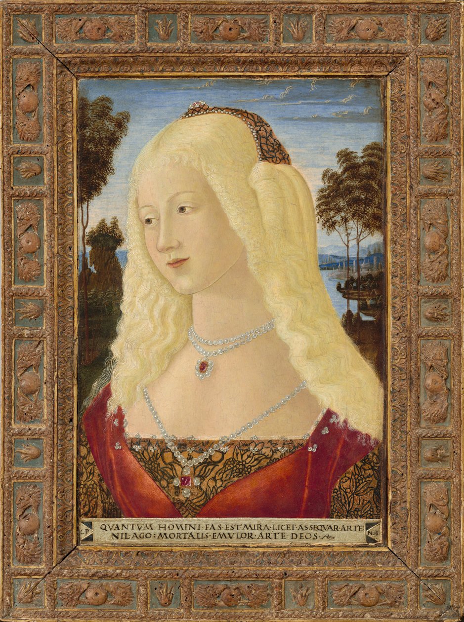 Hölgy portréja, c. 1485. alkotó: Neroccio de Landi