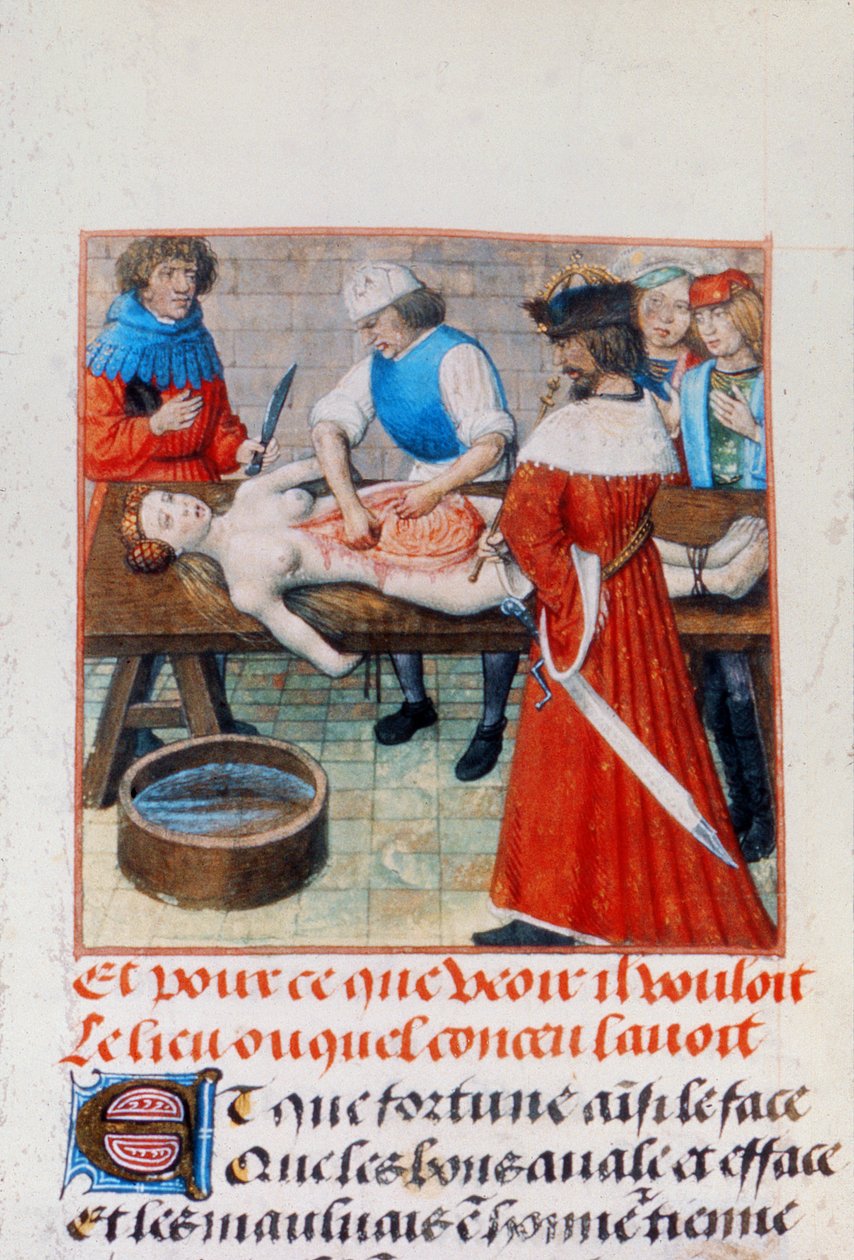 Harl 4425 Nero és anyja, a "Roman de la Rose"-ból, Bruges, 1490-1500 körül (vellum) alkotó: Netherlandish School