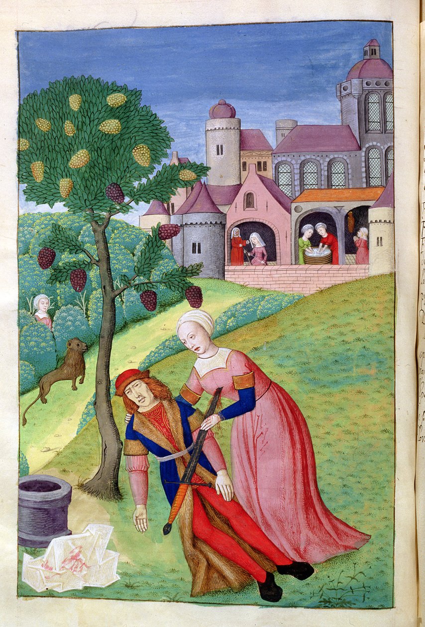 Ms 324 f.44 kontra Alcithoe, Pyramus és Thisbe, az eperfa megváltoztatja a színét, Ovidius Metamorphoses című könyvéből, 1479 alkotó: Netherlandish School