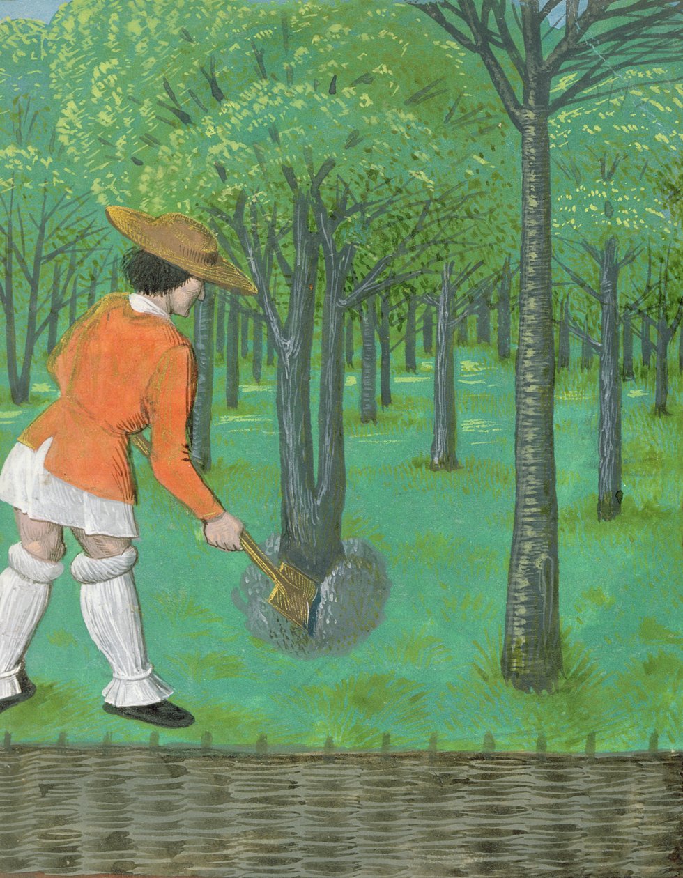 Roy 14 E VI f.28 Férfi ásóval a gyümölcsösben, a "Rustican du cultivement des terres"-ből, kivégezték IV. Edwardért, Bruges alkotó: Netherlandish School