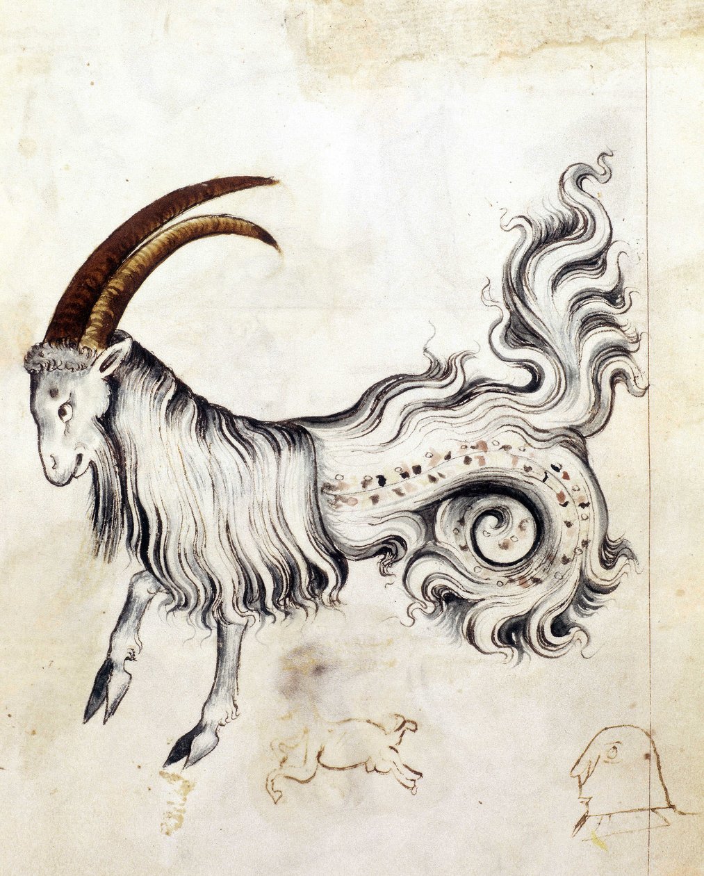 Sloane 3983, f.3v Az állatöv jegy Bak (vellum) alkotó: Netherlandish School