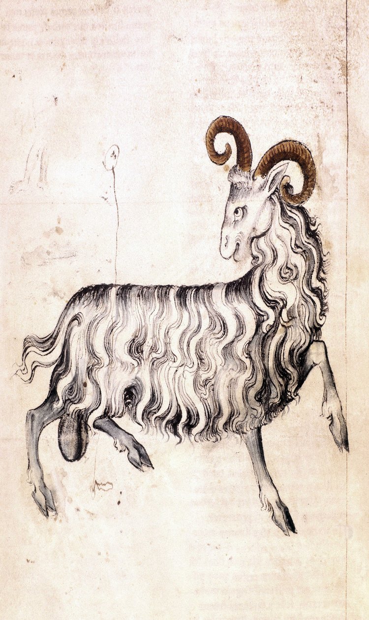 Sloane 3983 f3v Az állatöv jegy Bak (vellum) alkotó: Netherlandish School