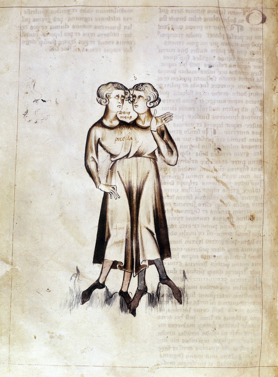 Sloane 3983 f.8v Ikrek rajza, Jafar ibn Muhammad (vellum) perzsa asztrológiai értekezésének fordításából alkotó: Netherlandish School