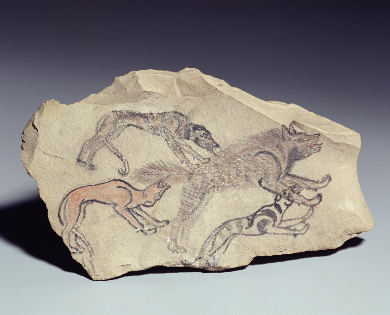 Ostracon egy kutyát ábrázol, aki egy hiénát (mészkövet) üldöz alkotó: New Kingdom Egyptian
