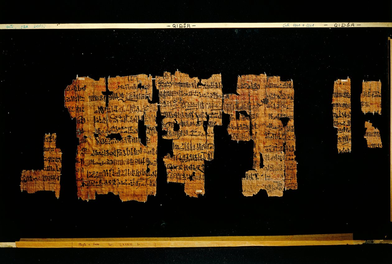 A III. Thutmosz fáraó okiratait tartalmazó dokumentum töredékei (papirusz) alkotó: New Kingdom Egyptian