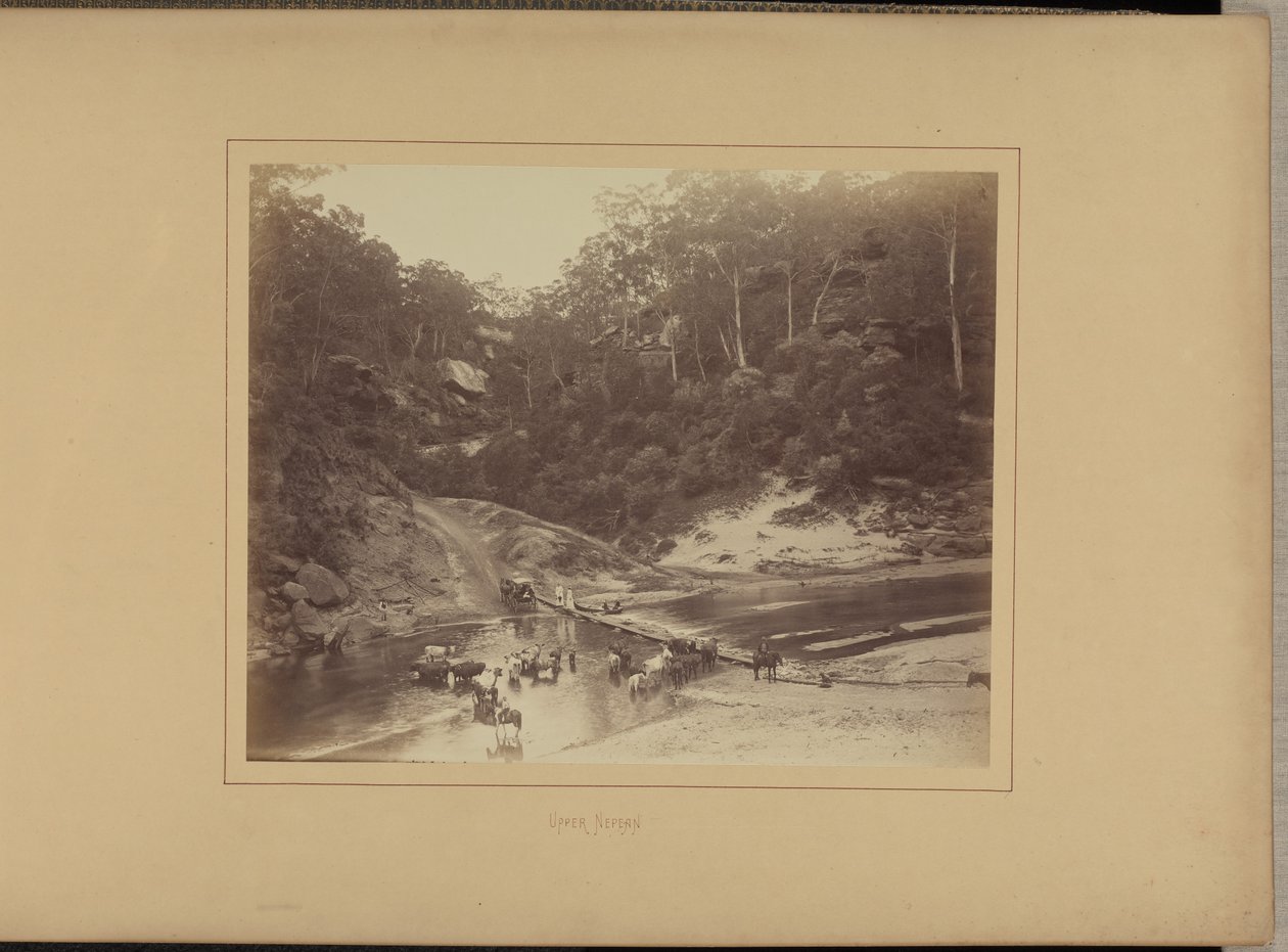 Upper Nepean alkotó: New South Wales Government Printing Office