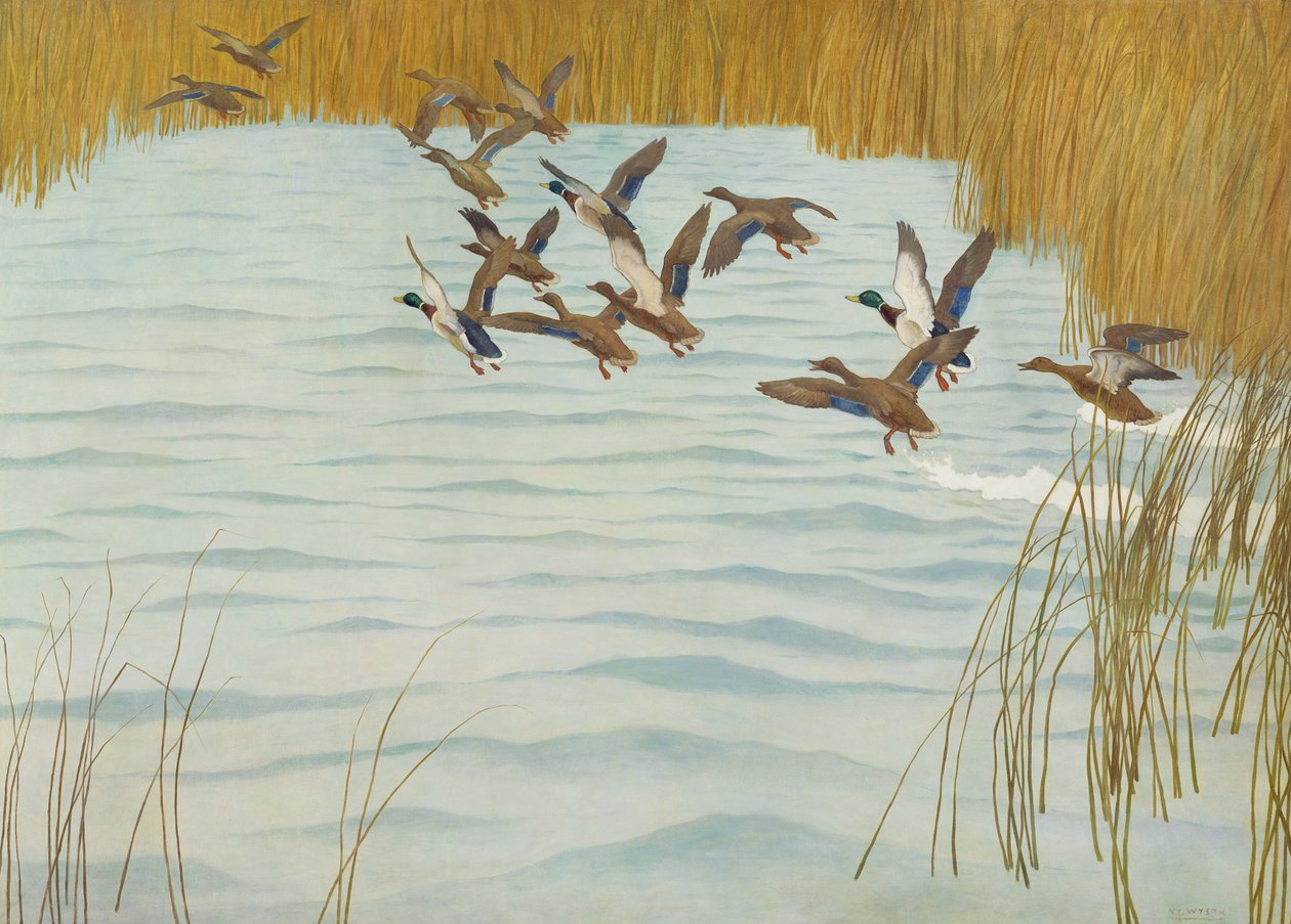 Mallardok ősszel, 1941 alkotó: Newell Convers Wyeth