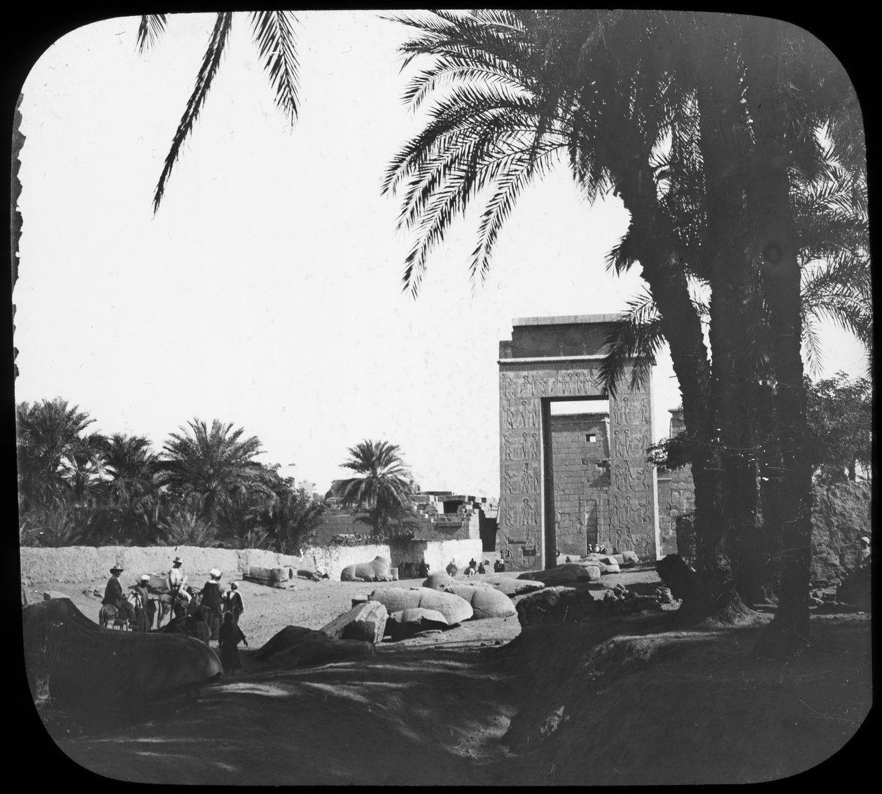 Szfinxek sugárútja, Karnak, Egyiptom, 1890 alkotó: Newton and Co