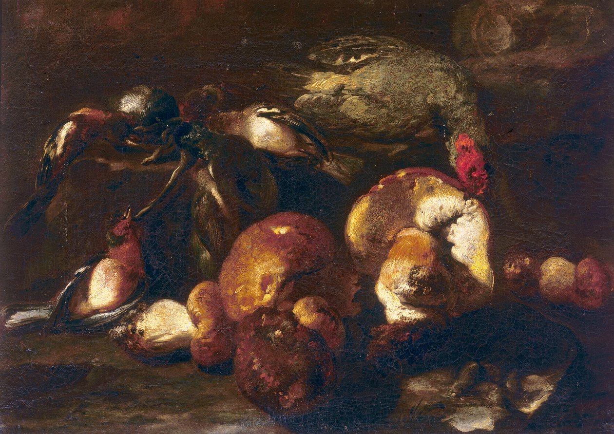 Madarak és gombák alkotó: Nicasius 1620 78 Bernaerts