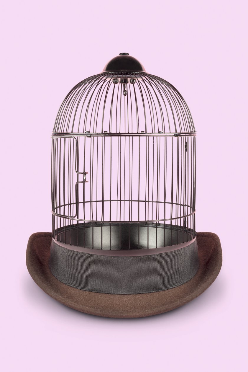 Mental Cage, 2020 (fotó) alkotó: Niccolò Fioriti