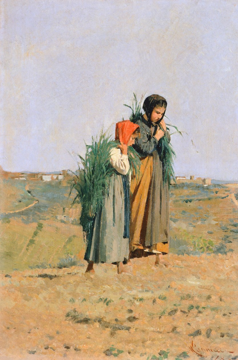 Erbaiole alkotó: Niccolo Cannicci