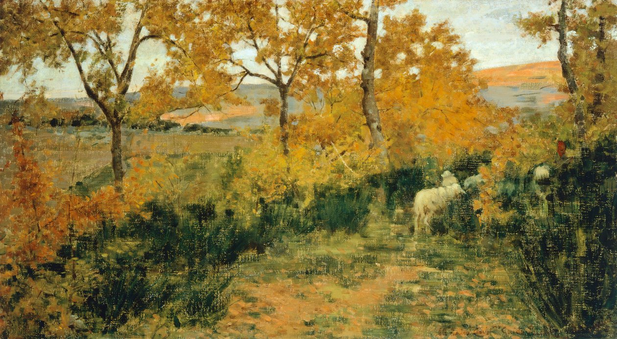 Aranyerdő Montemiccioliban alkotó: Niccolo Cannicci