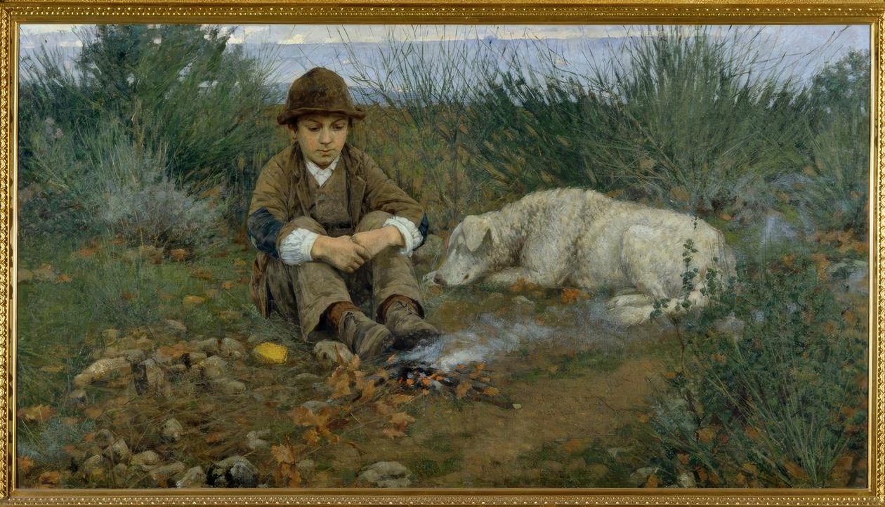 A fában alkotó: Niccolo Cannicci