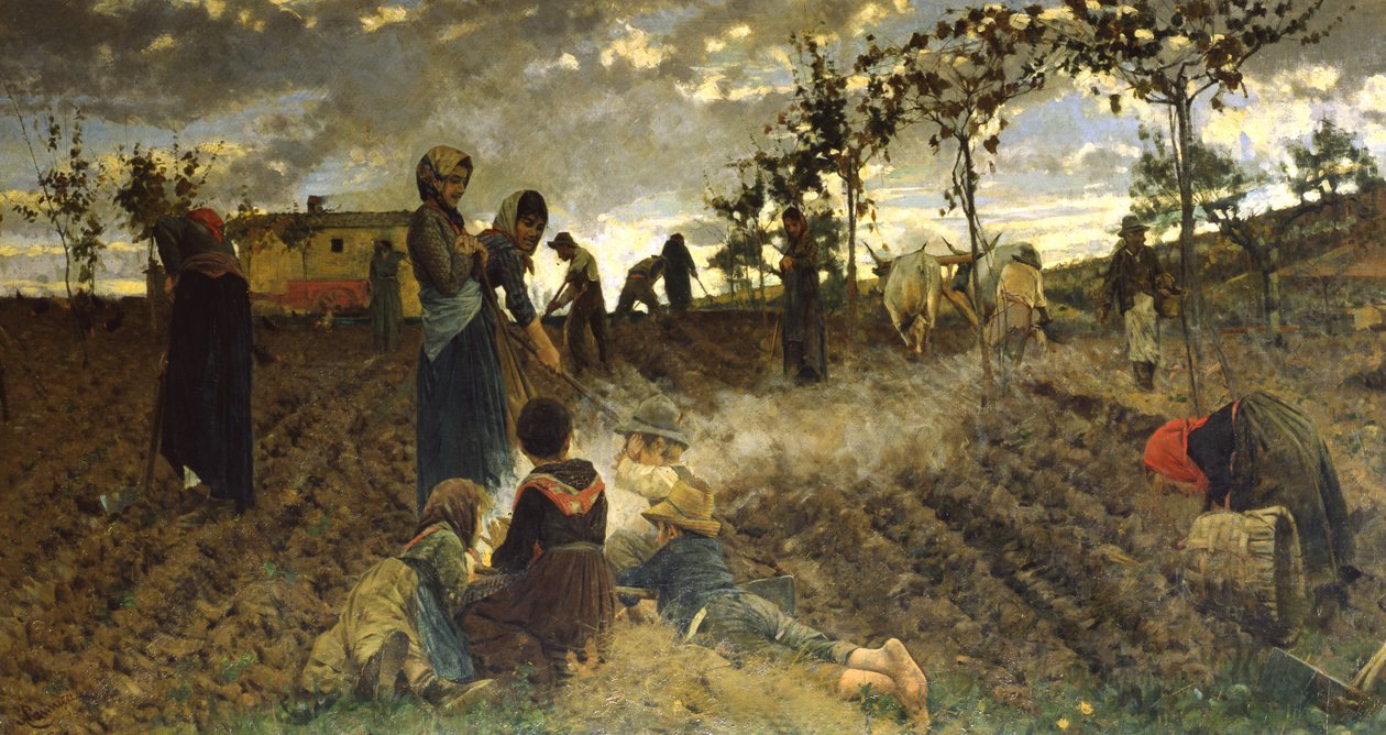 Vetés Toszkánában alkotó: Niccolo Cannicci