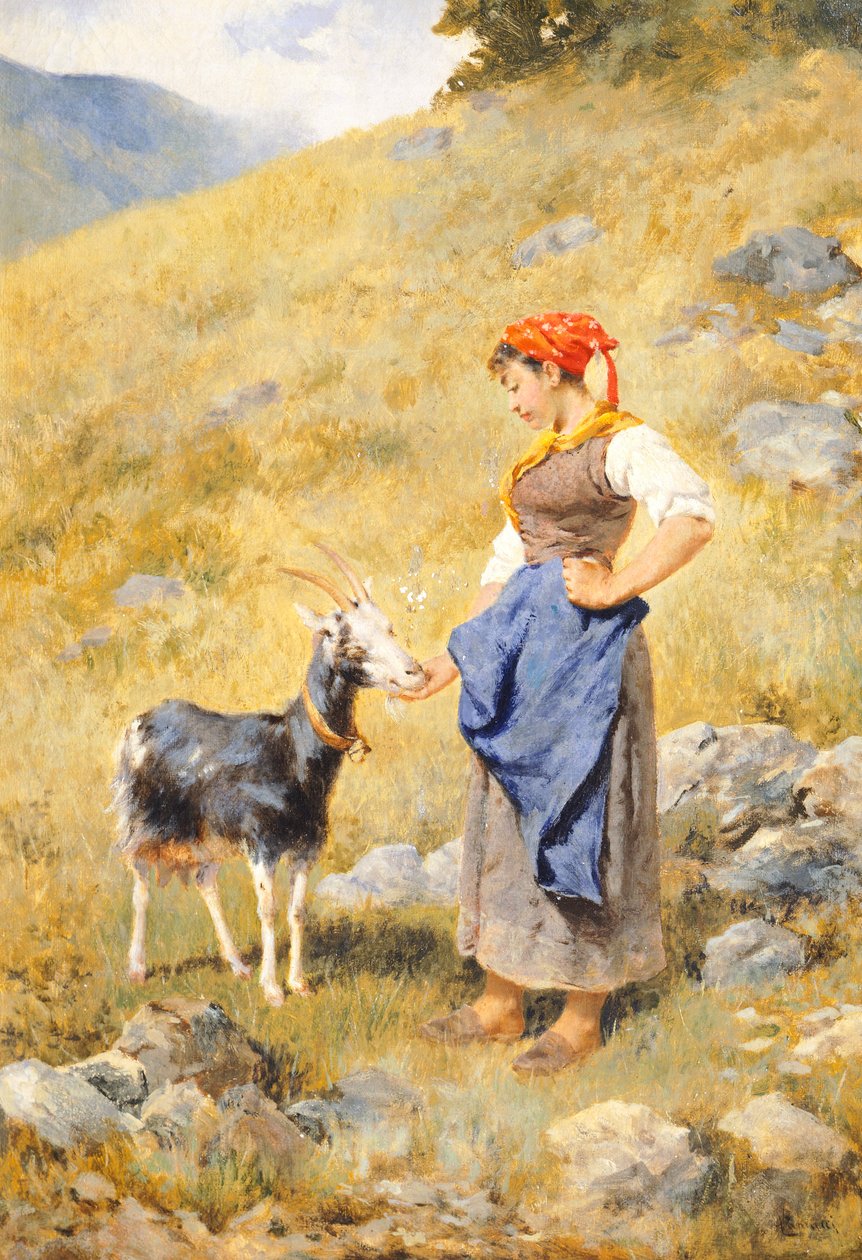 Pásztorlány, Niccolo Cannicci (1846-1906) alkotó: Niccolo Cannicci