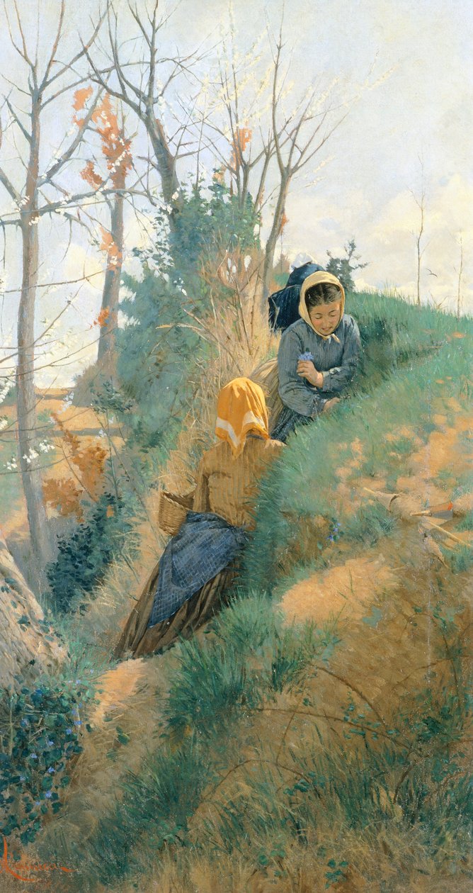 Tavaszi alkotó: Niccolo Cannicci