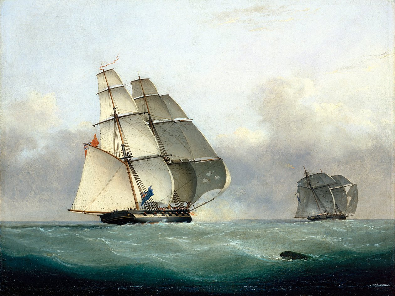 A "Gabriel" rabszolgaszállító hajó elfogása a HMS "Acorn" által, 1841. július 6. alkotó: Nicholas Matthews Condy