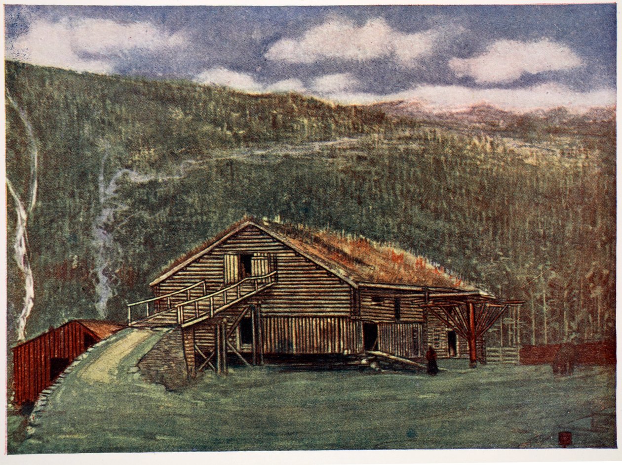 Farm-ház és malom Gjobában, 1905 alkotó: Nico Jungman