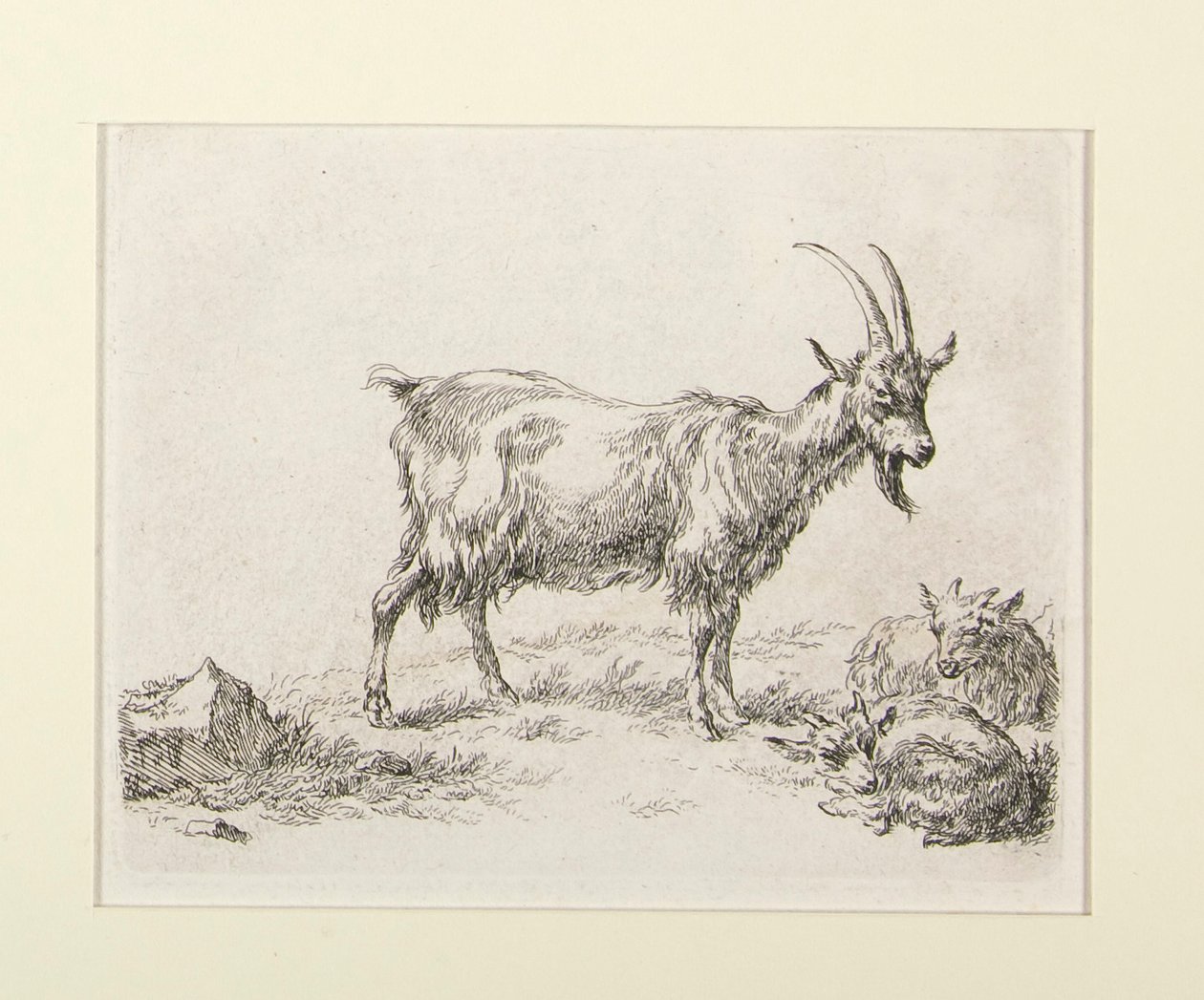 6 rézkarc tól alkotó: Nicolaes Berchem