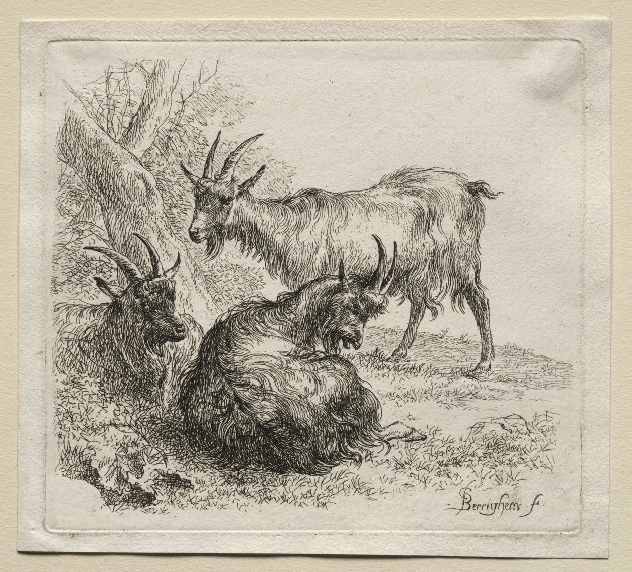 Animalia: Három kecske alkotó: Nicolaes Berchem