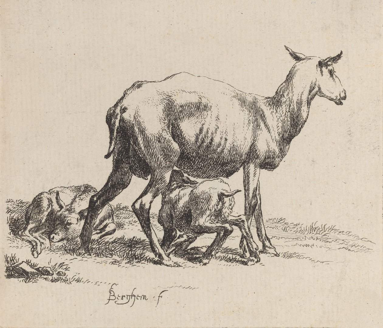 Ewe Nursing Her Lamb. alkotó: Nicolaes Berchem